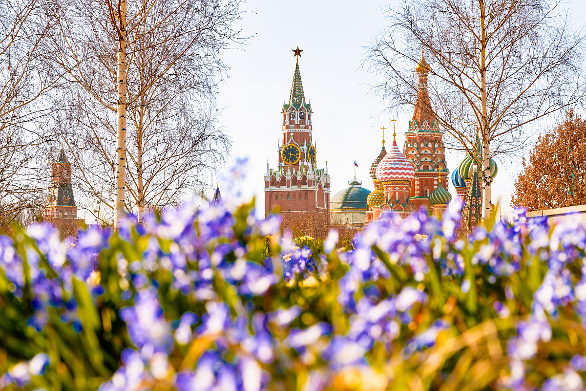 Первоцветы в парках Москвы 