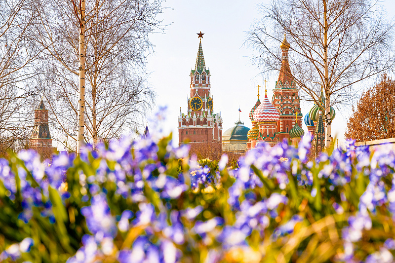 Первоцветы в парках Москвы 