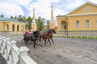 Новые площадки кинопарка «Москино»