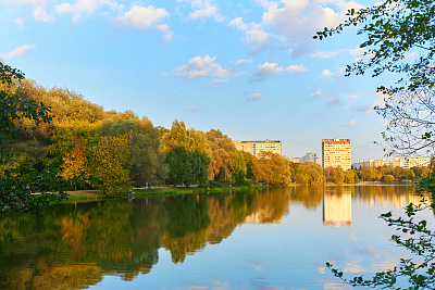 Терлецкая дубрава