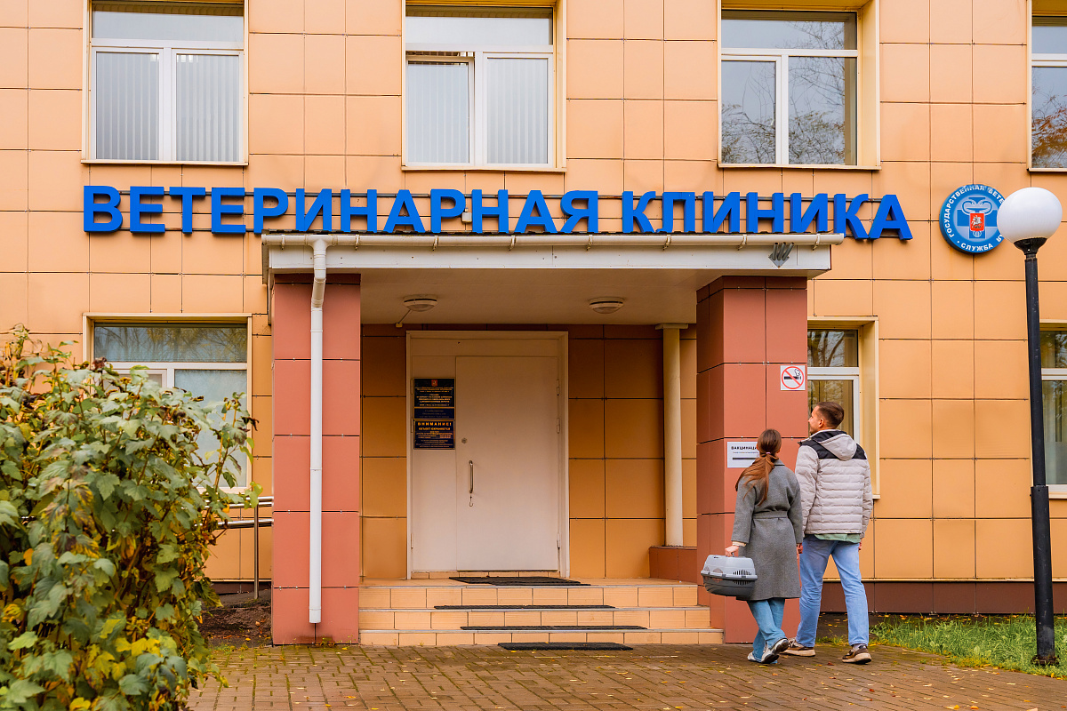 Ветеринарная клиника