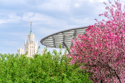 Цветущая Москва