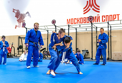 Спортивный комплекс для занятий самбо