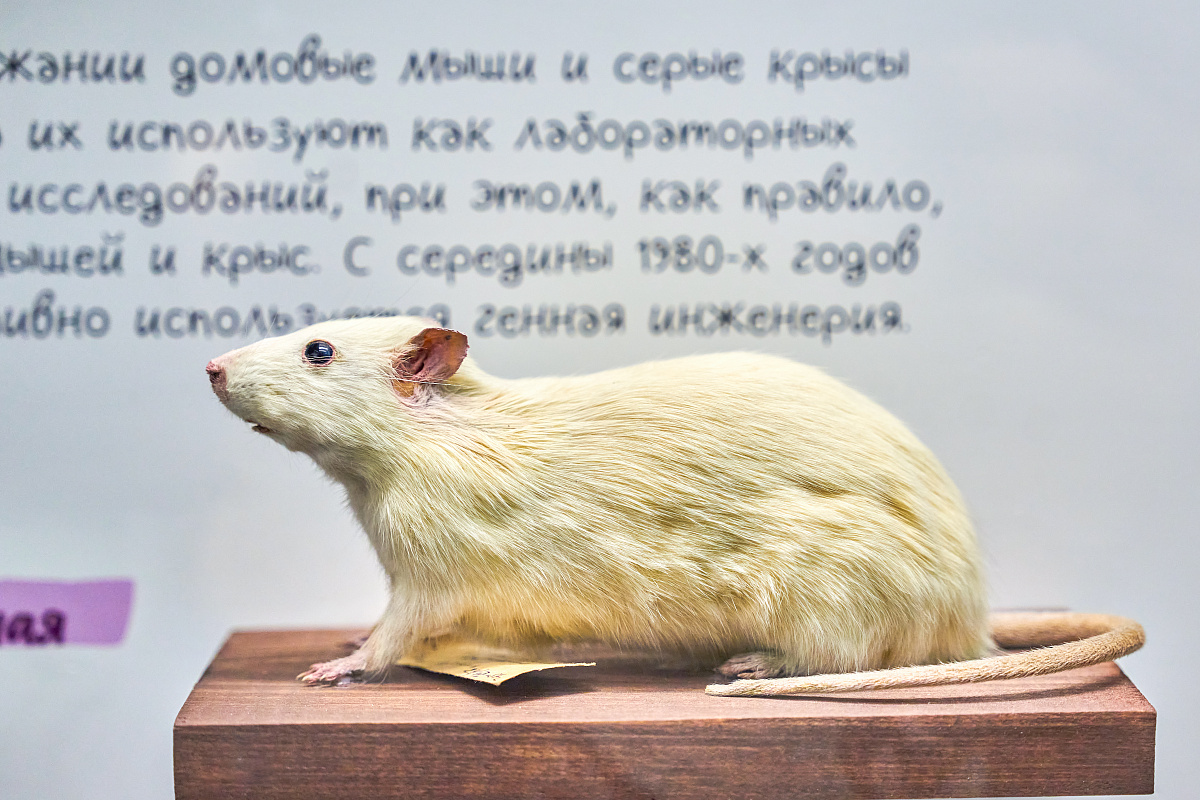 Биологический музей имени К.А. Тимирязева 