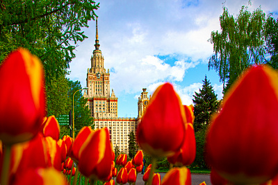 Москва в цветах