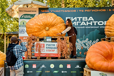Фестиваль урожая «Битва гигантов»