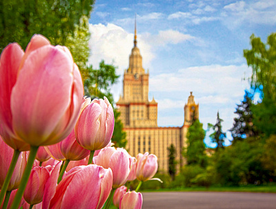 Москва в цветах