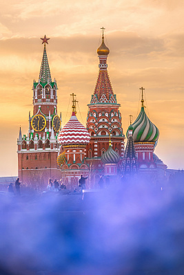 Первоцветы в парках Москвы 