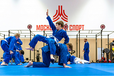 Спортивный комплекс для занятий самбо