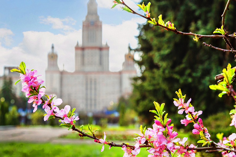 Москва в цветах