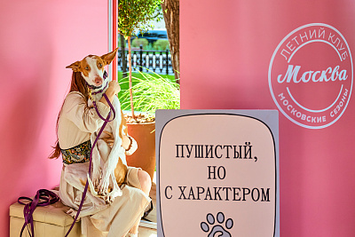 Фестиваль «Моспитомец» на Тверском бульваре