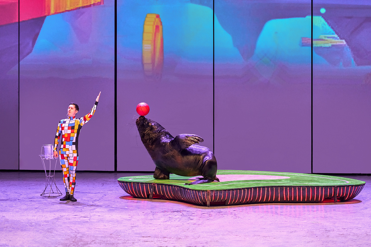 Шоу «Море снов» в Москвариуме