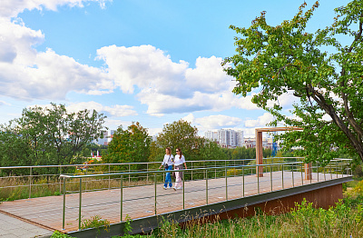 Ландшафтный парк Митино (лето)