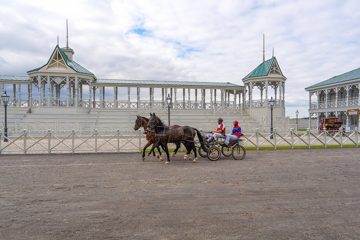 Новые площадки кинопарка «Москино»