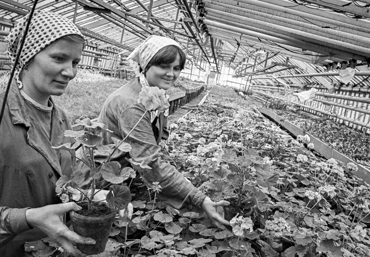 Архивные и современные фото дорожных работ на улицах Москвы