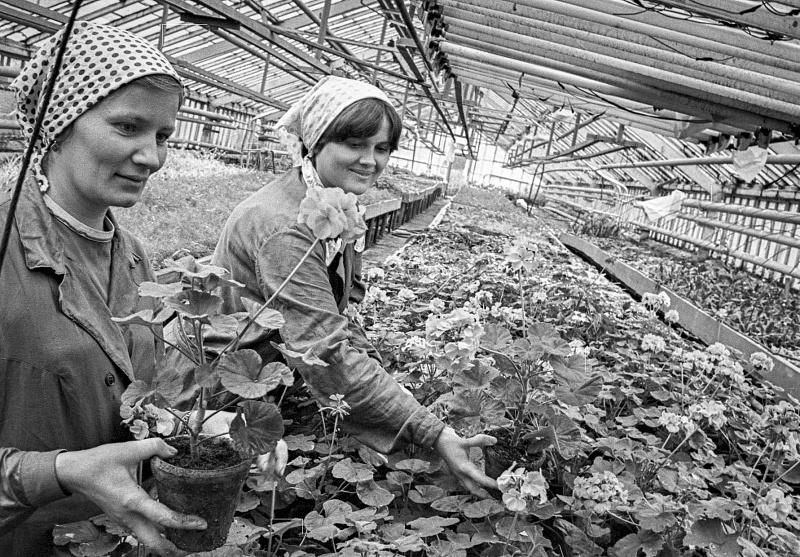 Архивные и современные фото дорожных работ на улицах Москвы