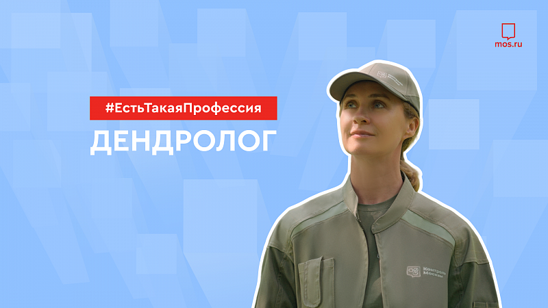 Профессия: дендролог