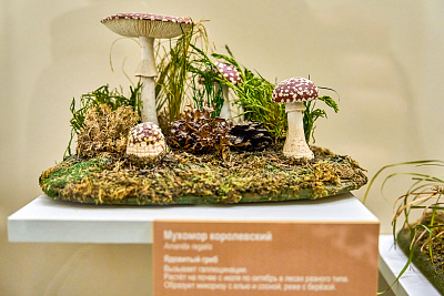 Биологический музей имени К.А. Тимирязева 