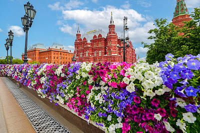 «Сады и цветы» в центре Москвы