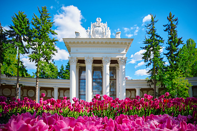 Москва в цветах