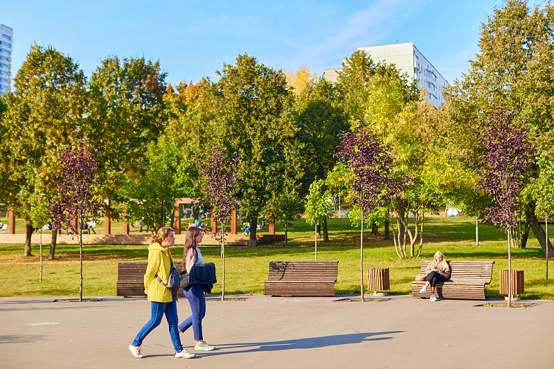 Кировоградские пруды