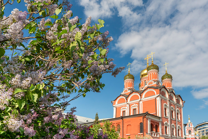 Цветущая Москва