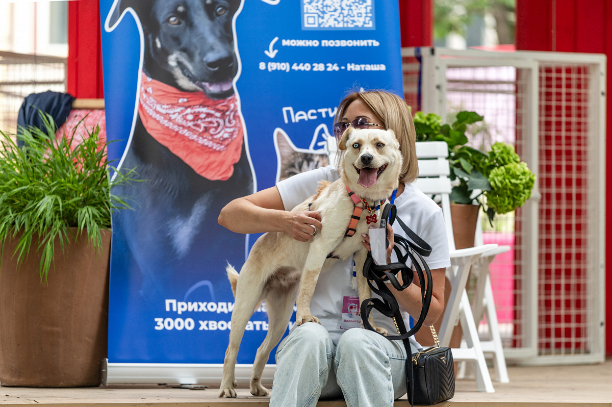 «Моспитомец»