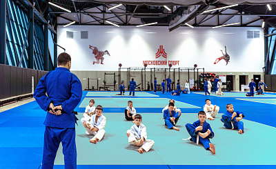 Спортивный комплекс для занятий самбо